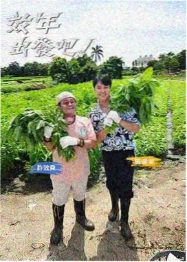 悬疑推理小说排行榜分类封面